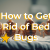 how-to-get-rid-of-bed-bugs